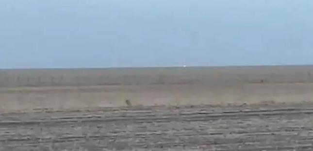 中蒙邊境線明火已被撲滅,為什么蒙古那么容易發(fā)生草原火災(zāi)?